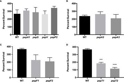 The identification of two M20B family peptidases required for full virulence in Staphylococcus aureus